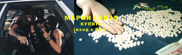прущие грибы Бронницы