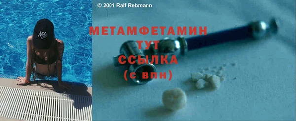 прущие грибы Бронницы