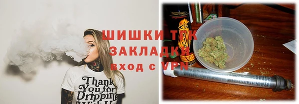прущие грибы Бронницы