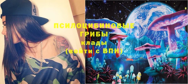 прущие грибы Бронницы