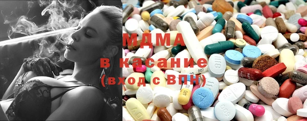 прущие грибы Бронницы