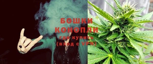 прущие грибы Бронницы