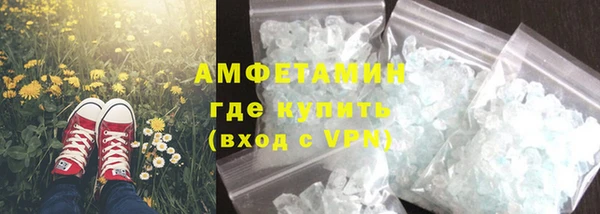 прущие грибы Бронницы