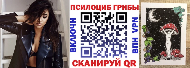 Купить  Учалы  Галлюциногенные грибы мицелий 